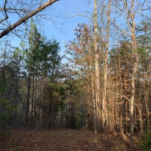 Photo #21 of Lot 284 Waterway CT, Lynch Station, VA 0.8 acres