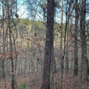 Photo #7 of Lot 284 Waterway CT, Lynch Station, VA 0.8 acres