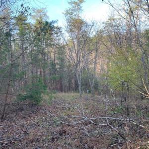Photo #20 of Lot 284 Waterway CT, Lynch Station, VA 0.8 acres