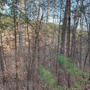 Photo #12 of Lot 284 Waterway CT, Lynch Station, VA 0.8 acres