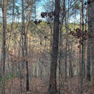 Photo #8 of Lot 284 Waterway CT, Lynch Station, VA 0.8 acres