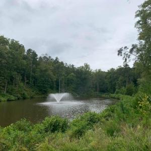 Photo #5 of Lot 284 Waterway CT, Lynch Station, VA 0.8 acres