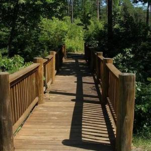 Photo #3 of Lot 284 Waterway CT, Lynch Station, VA 0.8 acres