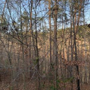 Photo #9 of Lot 284 Waterway CT, Lynch Station, VA 0.8 acres