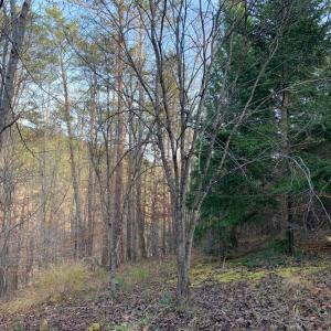 Photo #22 of Lot 284 Waterway CT, Lynch Station, VA 0.8 acres