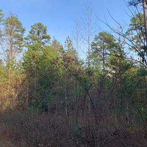 Photo #17 of Lot 284 Waterway CT, Lynch Station, VA 0.8 acres