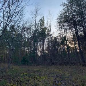 Photo #19 of Lot 284 Waterway CT, Lynch Station, VA 0.8 acres