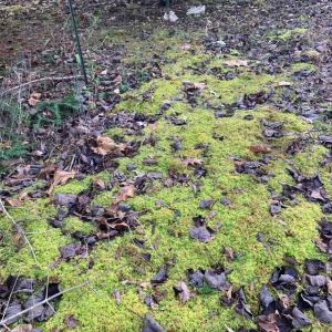 Photo #15 of Lot 284 Waterway CT, Lynch Station, VA 0.8 acres