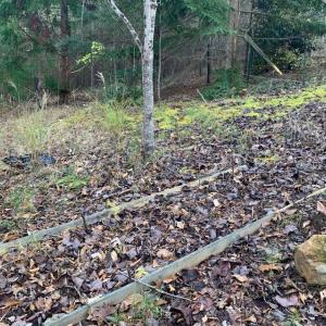 Photo #14 of Lot 284 Waterway CT, Lynch Station, VA 0.8 acres