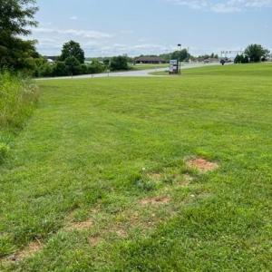 Photo #3 of Diamond Hill, Moneta, VA 1.4 acres