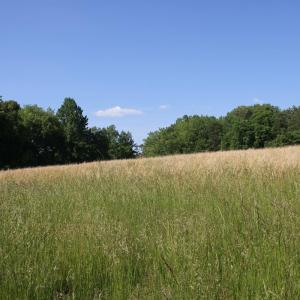 Photo #33 of Clearview Road, Bedford, VA 27.5 acres