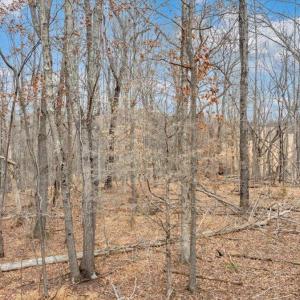 Photo #30 of Clearview Road, Bedford, VA 27.5 acres