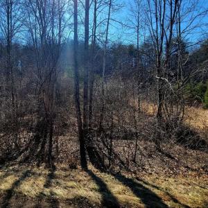 Photo #4 of Watt Abbitt Road, Appomattox, VA 26.5 acres