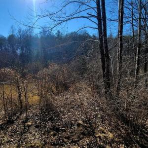 Photo #10 of Watt Abbitt Road, Appomattox, VA 26.5 acres