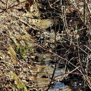 Photo #7 of Watt Abbitt Road, Appomattox, VA 26.5 acres