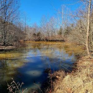 Photo #11 of Watt Abbitt Road, Appomattox, VA 26.5 acres