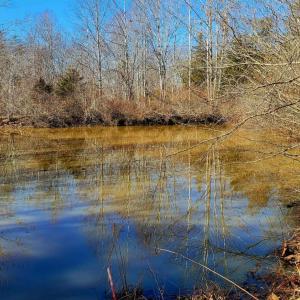 Photo #3 of Watt Abbitt Road, Appomattox, VA 26.5 acres