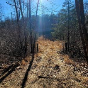 Photo #8 of Watt Abbitt Road, Appomattox, VA 26.5 acres