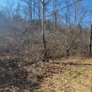 Photo #9 of Watt Abbitt Road, Appomattox, VA 26.5 acres