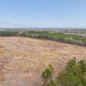 Photo #16 of Throckmorton Trail, Scottsburg, VA 95.5 acres