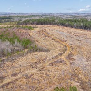 Photo #23 of Throckmorton Trail, Scottsburg, VA 95.5 acres