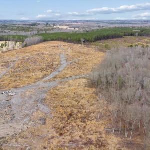 Photo #25 of Throckmorton Trail, Scottsburg, VA 95.5 acres