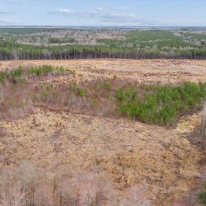 Photo #26 of Throckmorton Trail, Scottsburg, VA 95.5 acres