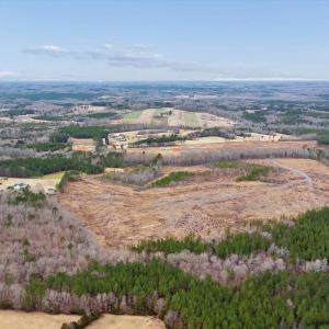 Photo #10 of Throckmorton Trail, Scottsburg, VA 95.5 acres