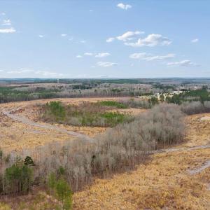 Photo #12 of Throckmorton Trail, Scottsburg, VA 95.5 acres