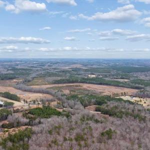 Photo #4 of Throckmorton Trail, Scottsburg, VA 95.5 acres