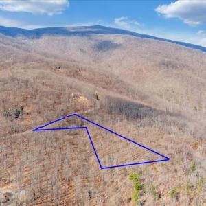 Photo #1 of 756 Crawfords Climb, Nellysford, VA 3.6 acres