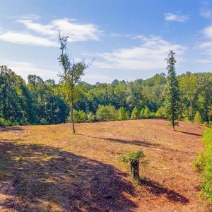 Photo #22 of 206 Waughs Landing Drive, Lynchburg, VA 6.0 acres