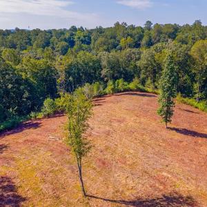 Photo #15 of 206 Waughs Landing Drive, Lynchburg, VA 6.0 acres