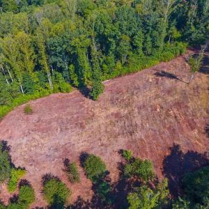 Photo #12 of 206 Waughs Landing Drive, Lynchburg, VA 6.0 acres