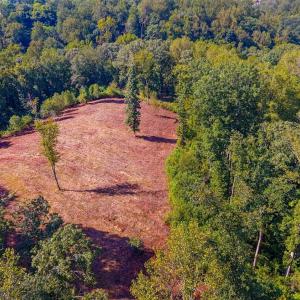 Photo #13 of 206 Waughs Landing Drive, Lynchburg, VA 6.0 acres