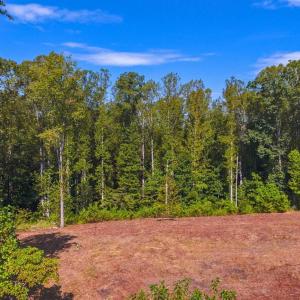 Photo #17 of 206 Waughs Landing Drive, Lynchburg, VA 6.0 acres