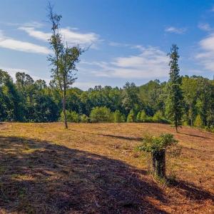 Photo #21 of 206 Waughs Landing Drive, Lynchburg, VA 6.0 acres