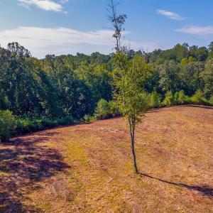 Photo #16 of 206 Waughs Landing Drive, Lynchburg, VA 6.0 acres