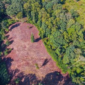 Photo #2 of 206 Waughs Landing Drive, Lynchburg, VA 6.0 acres