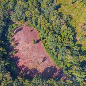 Photo #3 of 206 Waughs Landing Drive, Lynchburg, VA 6.0 acres