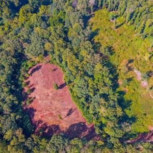 Photo #7 of 206 Waughs Landing Drive, Lynchburg, VA 6.0 acres