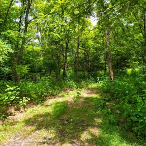 Photo #4 of Elkton Farm Rd, Forest, VA 5.0 acres