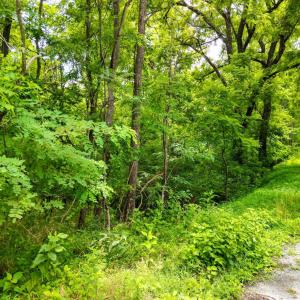 Photo #6 of Elkton Farm Rd, Forest, VA 5.0 acres