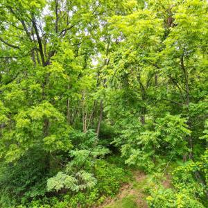 Photo #7 of Elkton Farm Rd, Forest, VA 5.0 acres