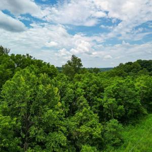 Photo #15 of Elkton Farm Rd, Forest, VA 5.0 acres