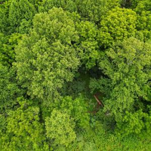 Photo #13 of Elkton Farm Rd, Forest, VA 5.0 acres