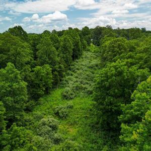 Photo #9 of Elkton Farm Rd, Forest, VA 5.0 acres