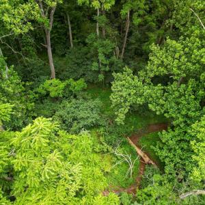 Photo #14 of Elkton Farm Rd, Forest, VA 5.0 acres