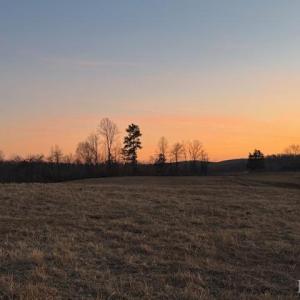 Photo #22 of Piney Mountain Road, Appomattox, VA 23.2 acres