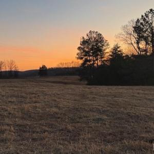 Photo #20 of Piney Mountain Road, Appomattox, VA 23.2 acres